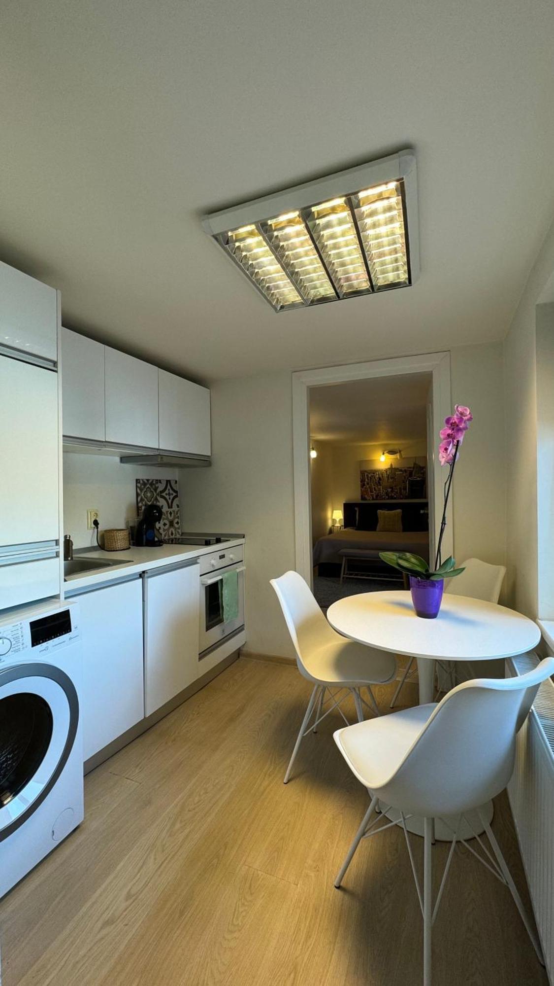 Elite Residence Timisoara Ngoại thất bức ảnh